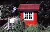 En uke på svenske kjöttbullar...